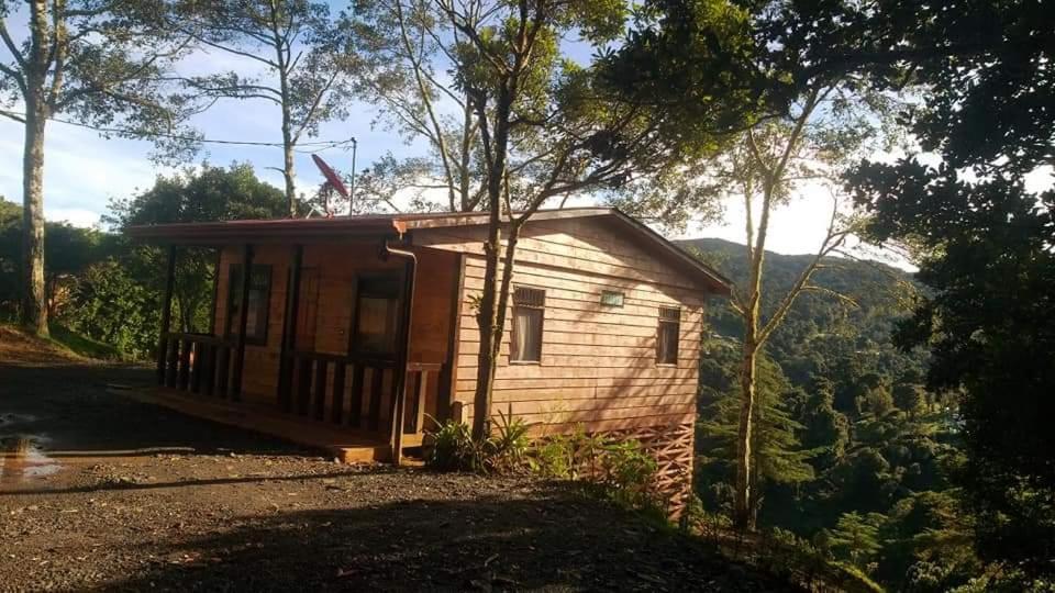 Las Bromelias Lodge Paso Macho ภายนอก รูปภาพ