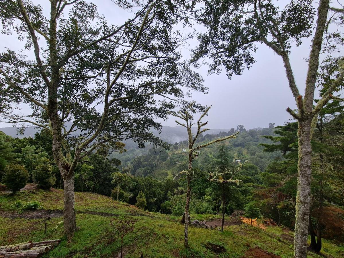 Las Bromelias Lodge Paso Macho ภายนอก รูปภาพ