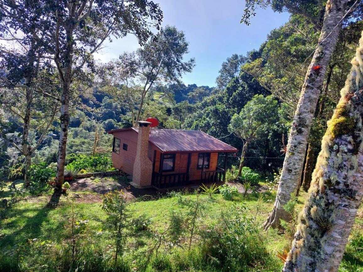 Las Bromelias Lodge Paso Macho ภายนอก รูปภาพ