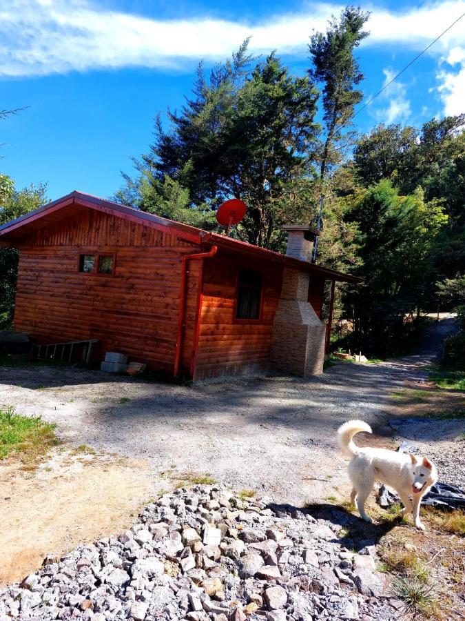 Las Bromelias Lodge Paso Macho ภายนอก รูปภาพ